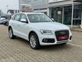 Audi Q5 2.0 TDI quattro *Pano *BiXenon *Leder *Memory Blanco - thumbnail 3