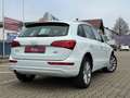 Audi Q5 2.0 TDI quattro *Pano *BiXenon *Leder *Memory Blanco - thumbnail 20