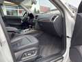 Audi Q5 2.0 TDI quattro *Pano *BiXenon *Leder *Memory Blanco - thumbnail 17