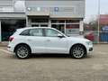 Audi Q5 2.0 TDI quattro *Pano *BiXenon *Leder *Memory Blanco - thumbnail 4