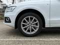 Audi Q5 2.0 TDI quattro *Pano *BiXenon *Leder *Memory Blanco - thumbnail 9
