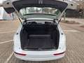 Audi Q5 2.0 TDI quattro *Pano *BiXenon *Leder *Memory Blanco - thumbnail 16