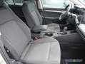 Volkswagen Golf 8 1.5 TSI Life ACC LED HuD Navi Sitzh. Weiß - thumbnail 5
