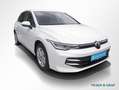 Volkswagen Golf 8 1.5 TSI Life ACC LED HuD Navi Sitzh. Weiß - thumbnail 2