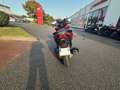 Honda Rot - thumbnail 4