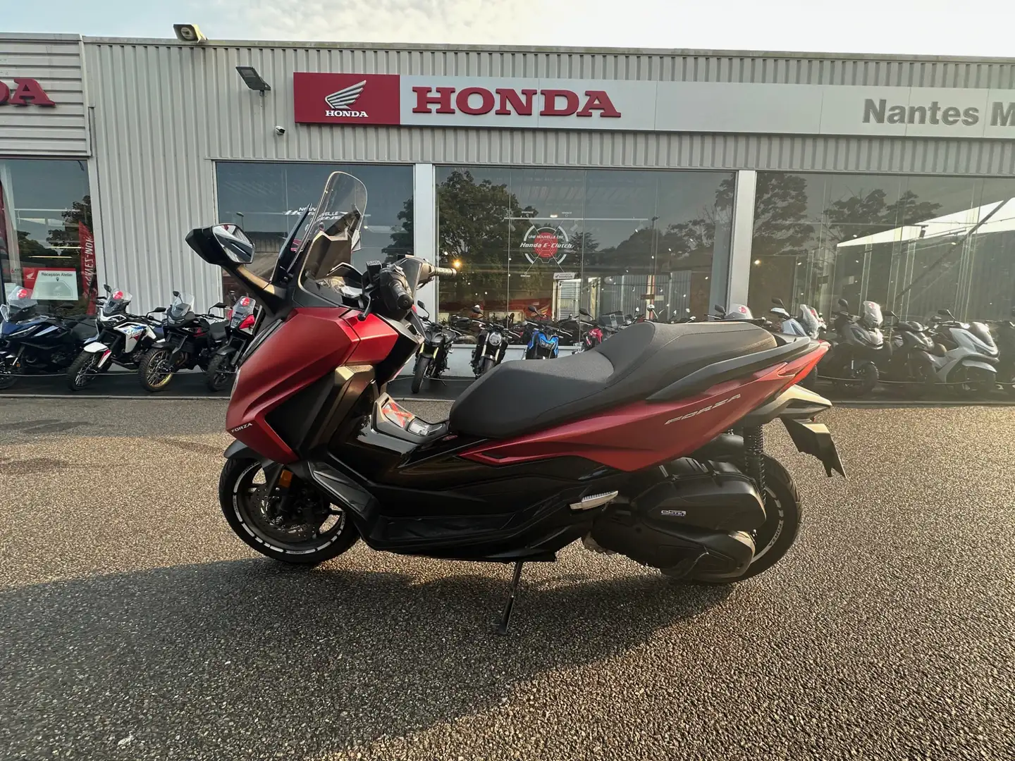 Honda Rot - 1