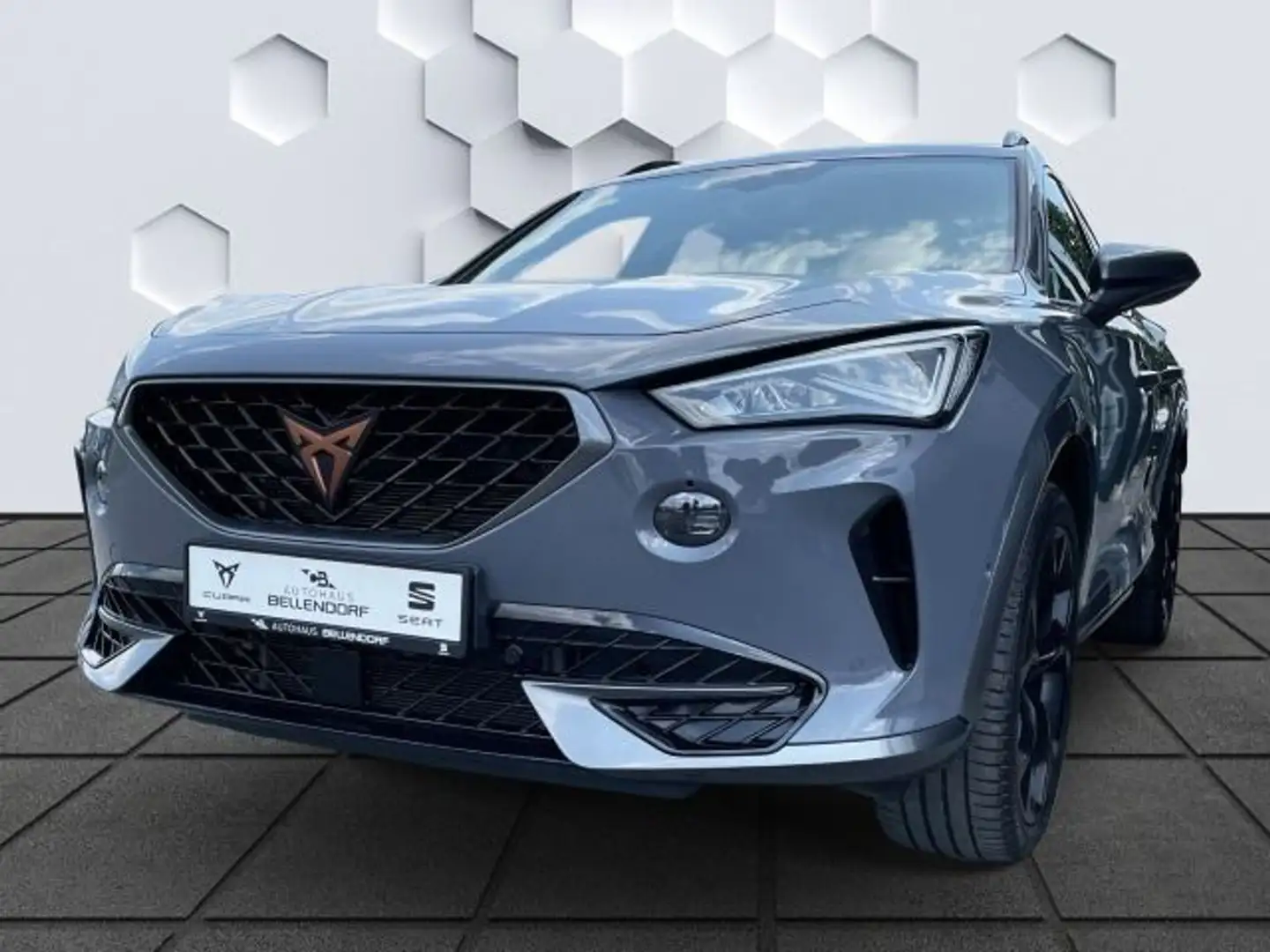 CUPRA Formentor VZ 2.0 TSI DSG 4Drive Navi Heckklappe Grau - 1