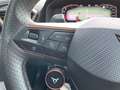 CUPRA Formentor VZ 2.0 TSI DSG 4Drive Navi Heckklappe Grau - thumbnail 12