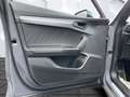 CUPRA Formentor VZ 2.0 TSI DSG 4Drive Navi Heckklappe Grau - thumbnail 13