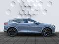 CUPRA Formentor VZ 2.0 TSI DSG 4Drive Navi Heckklappe Grau - thumbnail 14