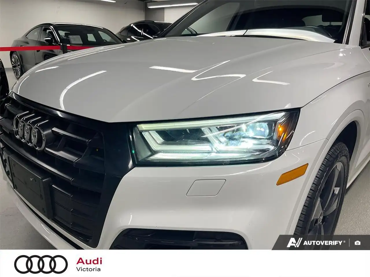 Audi Q5 fotografie Audi Q5