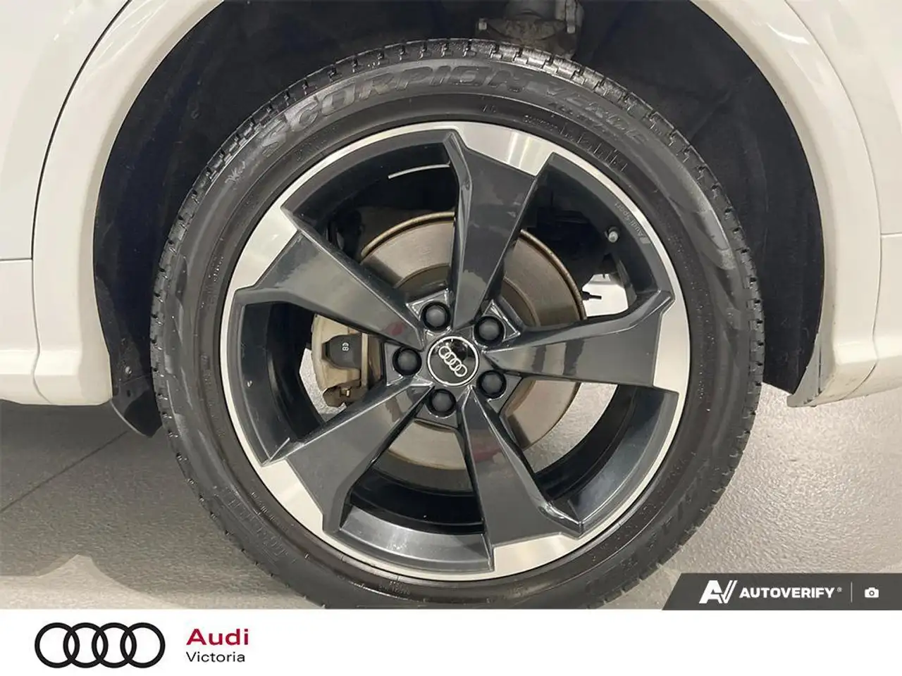 Audi Q5 fotografie Audi Q5
