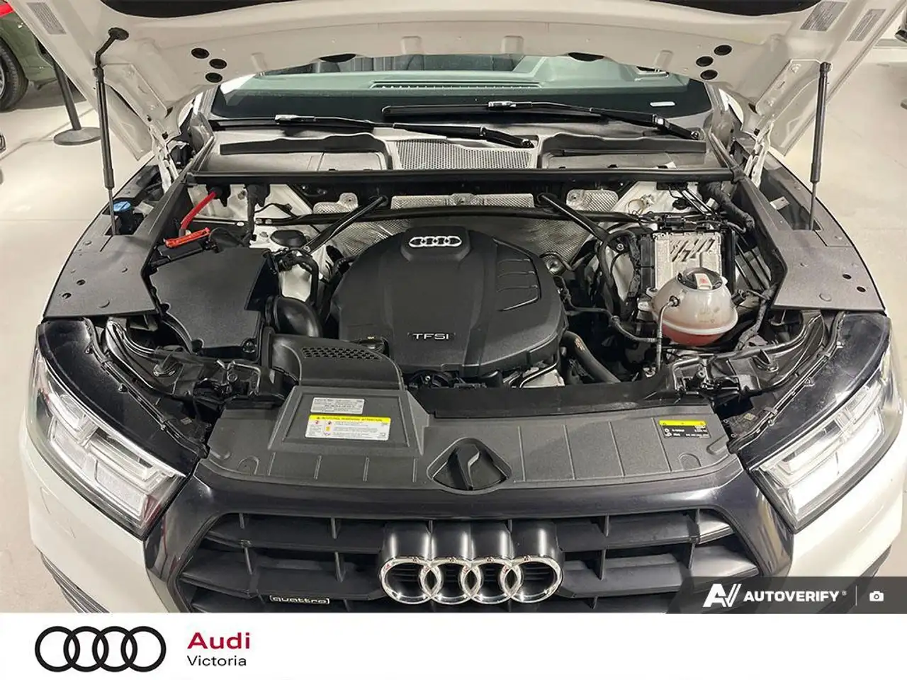 Audi Q5 fotografie Audi Q5