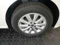 SEAT Ibiza Reference Edition 1.0 TSI Blanc - thumbnail 21