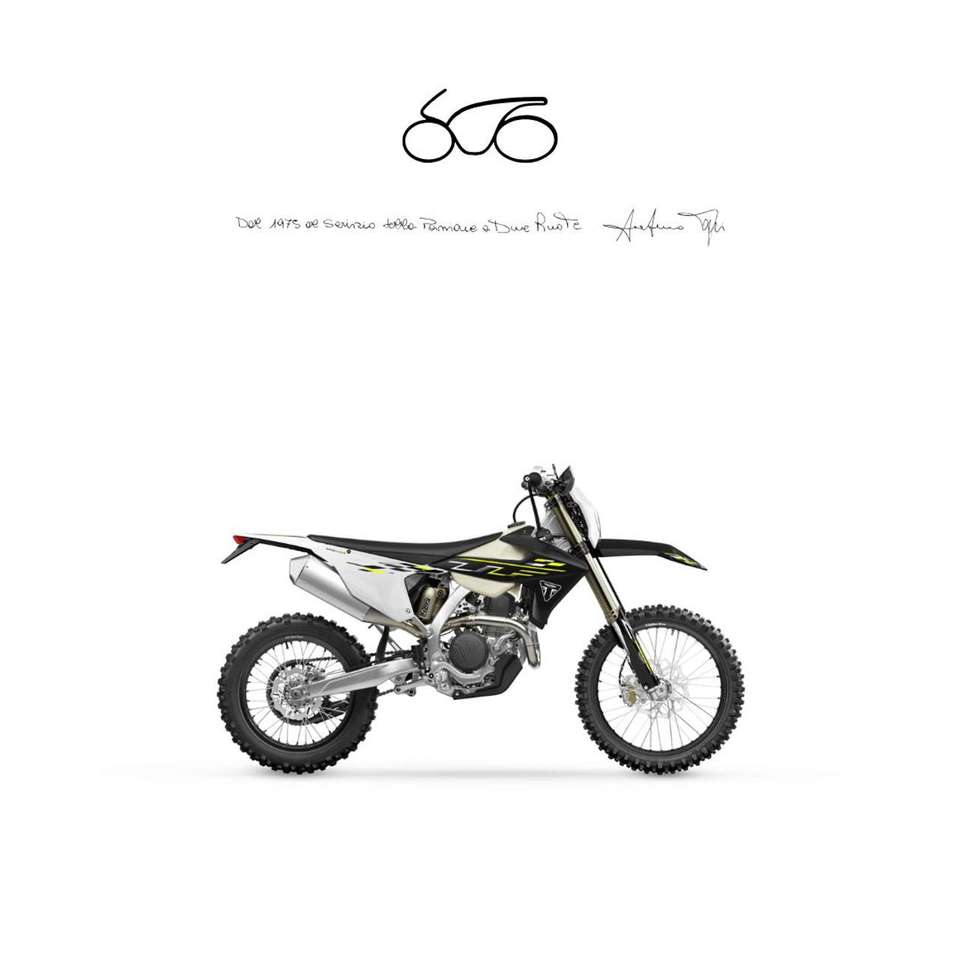 Triumph Others TF 450-E 2025