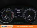Skoda Fabia 1.0 TSI Active*PDC*SHZ*KLIMA* Grau - thumbnail 20