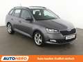 Skoda Fabia 1.0 TSI Active*PDC*SHZ*KLIMA* Grau - thumbnail 8