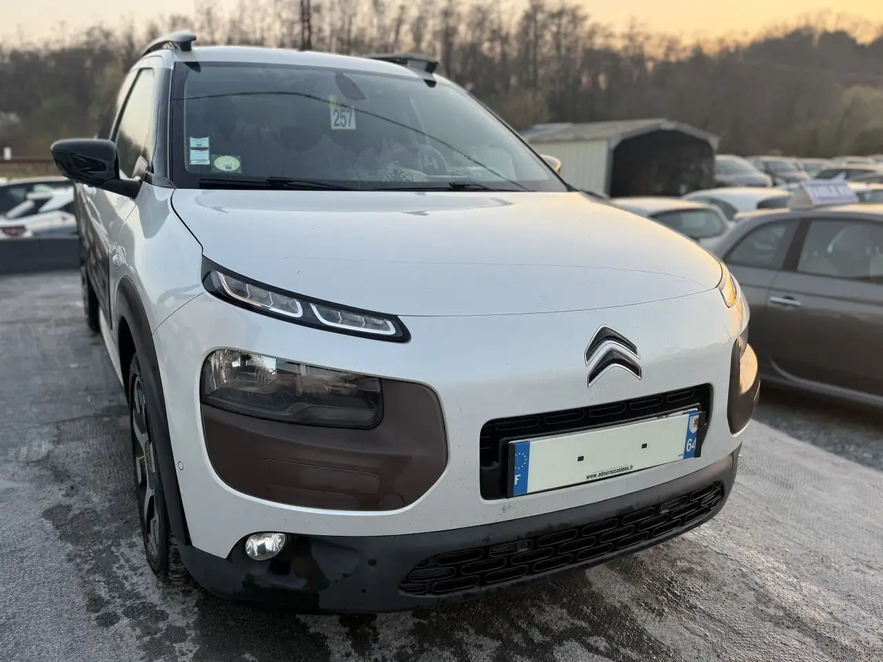 Citroen C4 Cactus E-HDI 92 SHINE ETG6