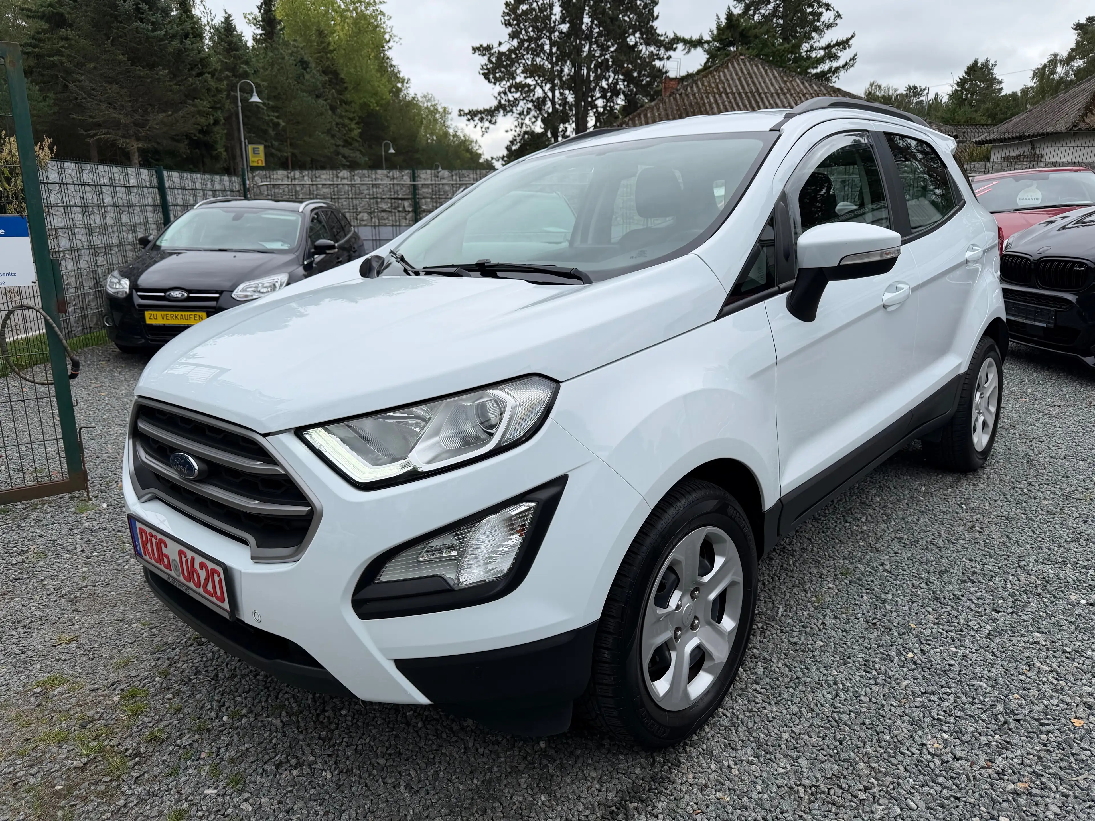Ford EcoSport Cool