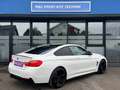 BMW 435 435d xDrive Coupe M Sport Aut./HARMANN KARDON Weiß - thumbnail 12