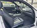 BMW 435 435d xDrive Coupe M Sport Aut./HARMANN KARDON Blanc - thumbnail 29