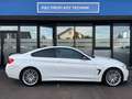 BMW 435 435d xDrive Coupe M Sport Aut./HARMANN KARDON Blanc - thumbnail 13
