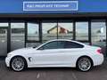 BMW 435 435d xDrive Coupe M Sport Aut./HARMANN KARDON Blanc - thumbnail 14