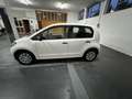 Skoda Citigo 5p 1.0 g-tec Design Edition 68cv - thumbnail 5
