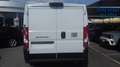 Fiat Ducato 33MH1 PASSO MEDIO TETTO STANDARD 2.2MJET 140CV Weiß - thumbnail 3