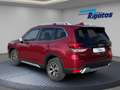 Subaru Forester 2.0ie Mild-Hybrid, Comfort AHK, Navi, Rückfahrkame Rood - thumbnail 2