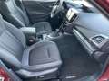 Subaru Forester 2.0ie Mild-Hybrid, Comfort AHK, Navi, Rückfahrkame Rood - thumbnail 6