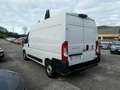 Fiat Ducato 2.2 MTJ  33 L2 H2 Weiß - thumbnail 5
