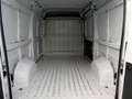 Fiat Ducato 2.2 MTJ  33 L2 H2 Weiß - thumbnail 11