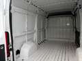 Fiat Ducato 2.2 MTJ  33 L2 H2 Weiß - thumbnail 12