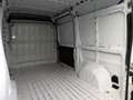 Fiat Ducato 2.2 MTJ  33 L2 H2 Weiß - thumbnail 13