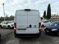 Fiat Ducato 2.2 MTJ  33 L2 H2 Weiß - thumbnail 7