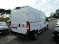 Fiat Ducato 2.2 MTJ  33 L2 H2 Weiß - thumbnail 6
