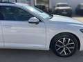 Volkswagen Passat 2.0 TDI 150cv Executive Blanco - thumbnail 25