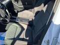 Volkswagen Passat 2.0 TDI 150cv Executive Blanco - thumbnail 13