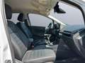 Ford EcoSport Active Navi B & O Klimaautom Keyless Entry PDCv+h Alb - thumbnail 8