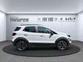 Ford EcoSport Active Navi B & O Klimaautom Keyless Entry PDCv+h Alb - thumbnail 5