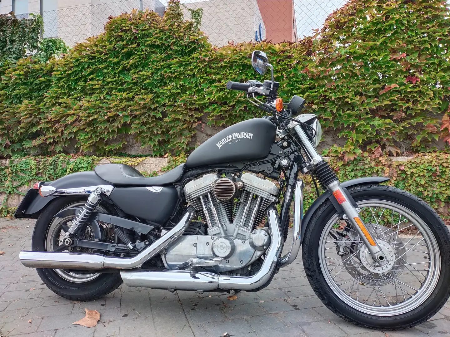 Harley-Davidson Sportster XL 883 Low Czarny - 1