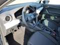 SEAT Ibiza IBIZA ROAD EDITION 1.0 TSI AHZV-VORB. SITZH. EPH Grau - thumbnail 6