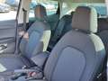SEAT Ibiza IBIZA ROAD EDITION 1.0 TSI AHZV-VORB. SITZH. EPH Grau - thumbnail 7