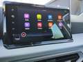 SEAT Ibiza IBIZA ROAD EDITION 1.0 TSI AHZV-VORB. SITZH. EPH Grau - thumbnail 18