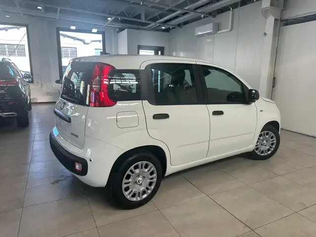 Fiat Panda view 4