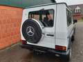 Mercedes-Benz G 300 300 GD - 463 - sehr gesund und gepflegt Blanc - thumbnail 11