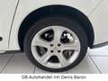 Peugeot 3008 Allure Leder Navi HUD AHK PDC AHK Pano SHZ Weiß - thumbnail 14