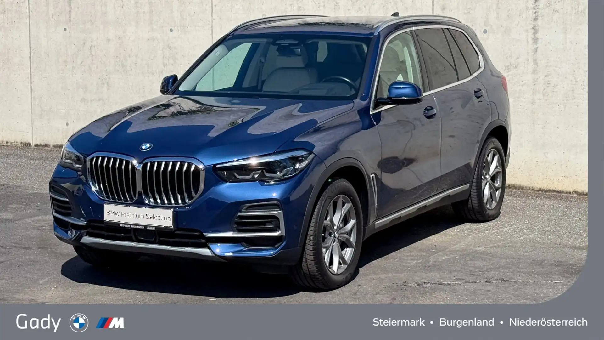 BMW X5 xDrive30d X-Line Blau - 1