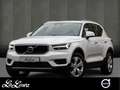 Volvo XC40 T3 Momentum Pro 2WD Weiß - thumbnail 1